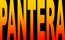 Pantera